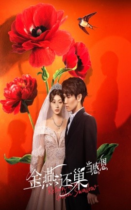 金燕还巢当感恩（55集）晓杨&刘曙瑞 (2025)-米创网