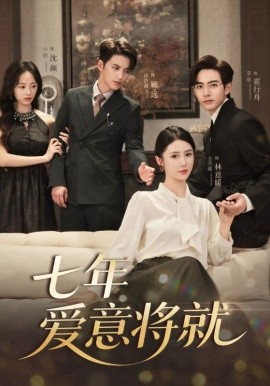 当时明月再难圆&七年爱意将就（60集）(2025)-米创网