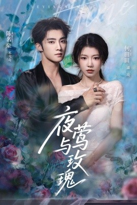 夜莺与玫瑰（66集）陈名豪&何田田 (2025)-米创网