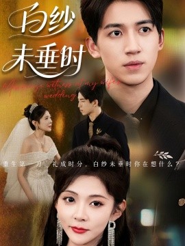 老婆婚礼我当证婚人&白纱未垂时（54集）钟煜霖&陆碧霄 (2025)-米创网