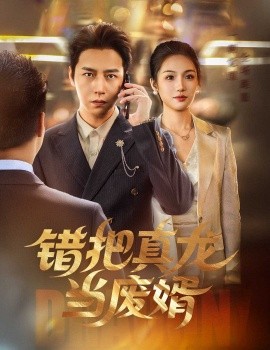 错把真龙当废婿（60集）孙雪阳&舒萱 (2025)-米创网