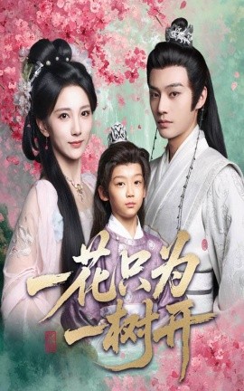 一花只为一树开（54集）柳甯＆高明君 (2025)-米创网