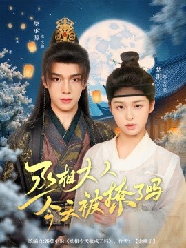 丞相大人今天被撩了吗（80集）楚玥&蔡承源 (2025)-米创网