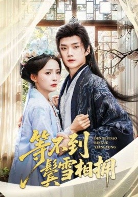 等不到鬓雪相拥（61集）李蔚蓝＆许丹 (2025)-米创网