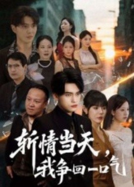 斩情当天，我争回一口气（80集）詹琸&陈俊羽 (2025)-米创网