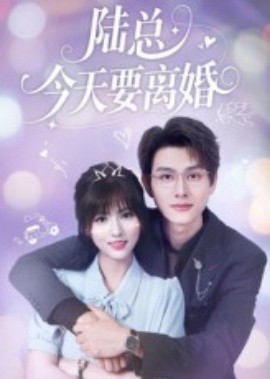 陆总今天要离婚（81集）陈凯洲&李泫逸 (2025)-米创网