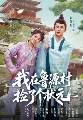 我在鲁源村捡了个状元（20集）顾怜安&苏晓 (2025)-米创网