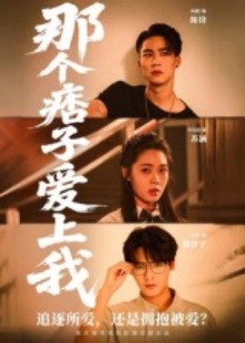 那个痞子爱上我（50集）向阳 (2025)-米创网