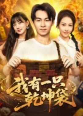 我有一只乾坤袋（60集）顾书齐 (2025)-米创网