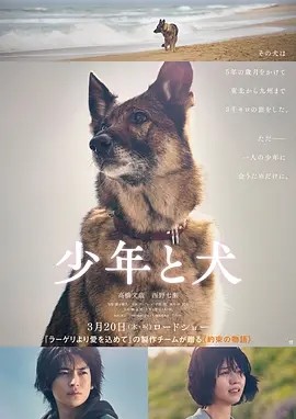 日影丨少年与犬 (2025)丨主演: 高桥文哉 / 西野七濑-米创网