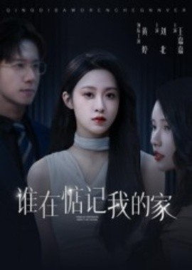 谁在惦记我的家（30集）刘北&王嘉嘉 (2025)-米创网