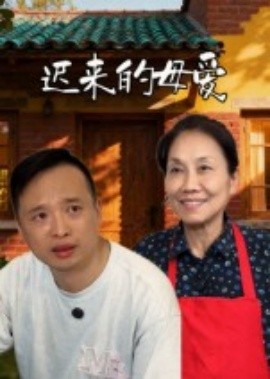 迟来的母爱（42集）宋军 (2025)-米创网