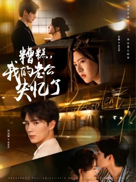 糟糕，我的老公失忆了（80集）刘辰锦＆左馨 (2025)-米创网