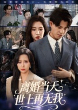 离婚当天世上再无我（60集）董劭辉 (2025)-米创网