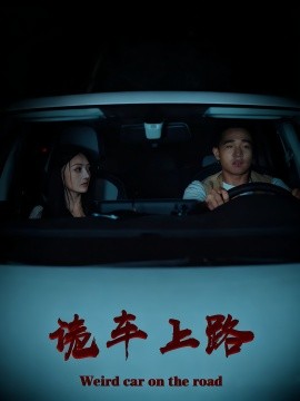 诡车上路（30集）罗诗妍&刘冉 (2025)-米创网