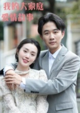 我的大家庭爱情故事（15集）曹栋&曾渠清 (2025)-米创网