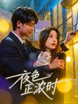 夜色正浓时（32集）徐梅＆谭伟英＆博之 (2025)-米创网