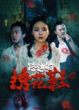 路边的绣花鞋（25集）黄柏然&张月 (2025)-米创网