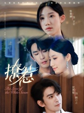 撩惹（80集）张曼婷＆沈照程 (2025)-米创网