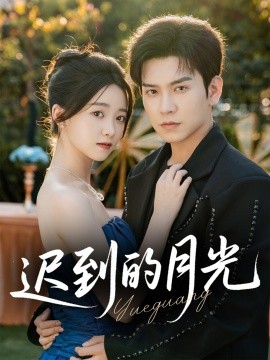 迟到的月光（80集）石佳＆朱家妮 (2025)-米创网