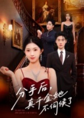 分手后，真千金她不伺候了（67集）肖琳&刘小龙 (2025)-米创网