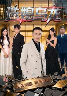 选媳乌龙（80集）李星辰&李尚宇 (2025)-米创网