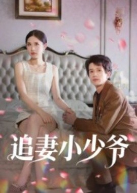追妻小少爷（31集）曾旭航 (2025)-米创网