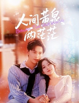 人间黄泉两茫茫（60集）李智颖&卓杭 (2025)-米创网