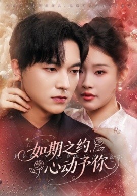 如期之约，心动予你（82集）权睿&魏天浩 (2025)-米创网