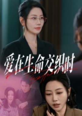 爱在生命交织时（33集）阎纪圻&刘清心 (2025)-米创网