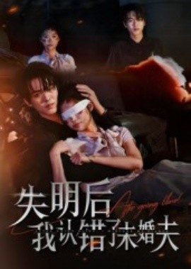 失明后我认错了未婚夫（34集）姜彬彬&杨宇轩 (2025)-米创网