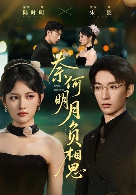 奈何明月负相思（60集）安安&东池 (2025)-米创网
