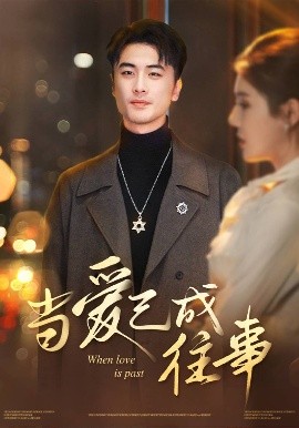 当爱已成往事（30集）张黎昊&李雨欣 (2025)-米创网