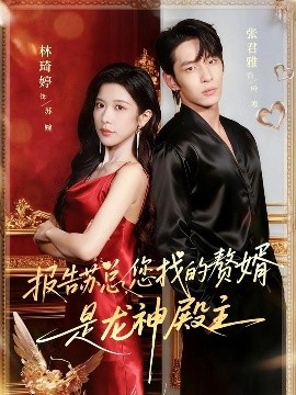 报告苏总，您找的赞婿是龙神殿主（72集）张君雅＆林琦婷 (2025)-米创网