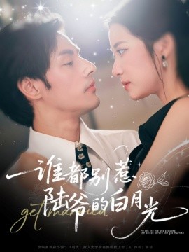 谁都别惹陆爷的白月光（79集）潘子剑＆段柒萱 (2025)-米创网