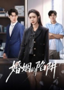 婚姻的陷阱（50集）杨硕&胡悦 (2025)-米创网