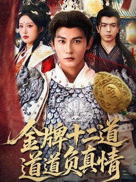 金牌十二道道道负真情（70集）宋楠&孙虎城 (2025)-米创网