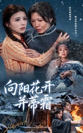 向阳花开并蒂霜（60集）燕颢元&李沁霏 (2025)-米创网