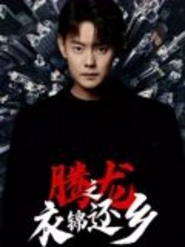 腾龙之衣锦还乡（30集）邱浩轩 (2025)-米创网