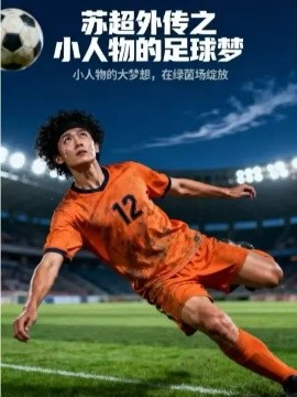 苏超外传之小人物的足球梦（70集）(2025)-米创网