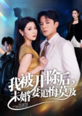 我被开除后，未婚妻追悔莫及（63集）丁敬一 (2025)-米创网