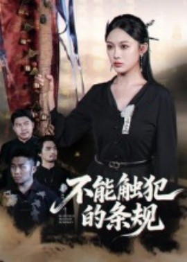 不能触犯的条规（50集）张亚迪&杨曦麟 (2025)-米创网