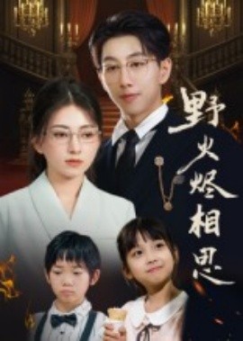 野火烬相思（61集）戴睿 (2025)-米创网