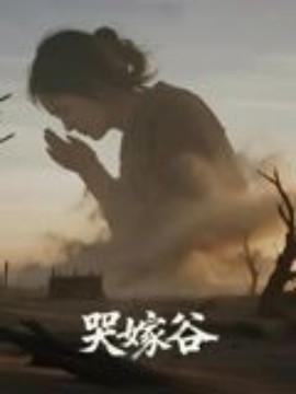 哭嫁谷（30集）孙烨&温静 (2025)-米创网