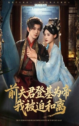 前夫君登基为帝我被迫和离（68集）蓝博&甜九洛 (2025)-米创网