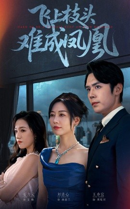 飞上枝头难成凤凰（47集）刘清心&王亦宸 (2025)-米创网