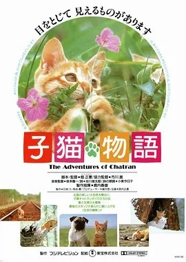 小猫的故事 (1986)丨8.4分丨高分治愈电影推荐 英语中字-米创网