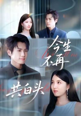 今生不再共白头（89集）杨凯群＆钰婷 (2025)-米创网
