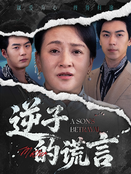 逆子的谎言（60集）李予苏&牛一凡 (2025)-米创网
