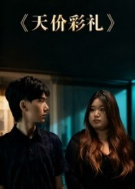 天价彩礼（20集）孙文轶轩 (2025)-米创网